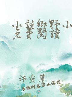 小说乡野小傻医免费阅读