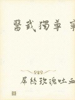 医武独尊 宁天