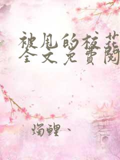 被甩的校花小说全文免费阅读