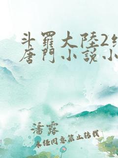 斗罗大陆2绝世唐门小说小说