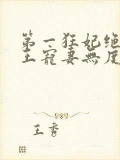 第一狂妃绝色邪王宠妻无度txt