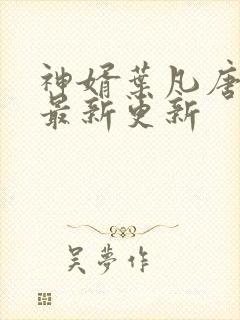 神婿叶凡唐若雪最新更新
