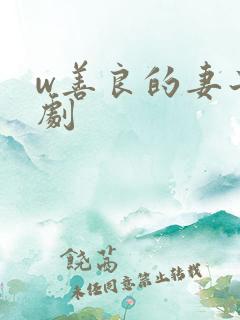 w善良的妻子韩剧