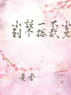 小说一不小心捡到个总裁免费阅读