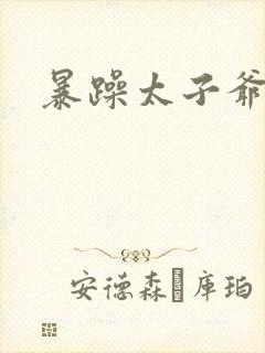 暴躁太子爷