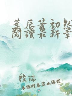 叶辰萧初然免费阅读最新章节无弹窗