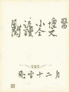 风流小傻医小说阅读全文