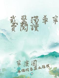武医独尊宁天免费阅读