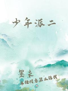 少年派二