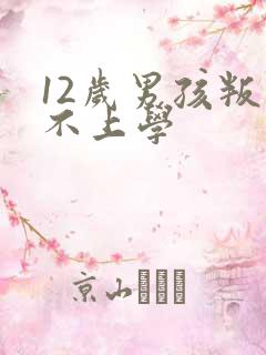 12岁男孩叛逆不上学