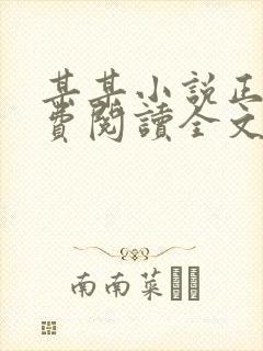 某某小说正版免费阅读全文未删减