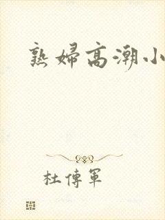 熟妇高潮小说