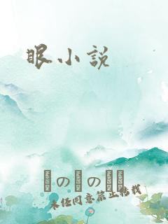 眼小说