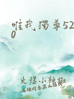 唯我独尊5200
