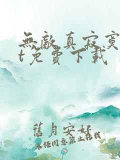 无敌真寂寞txt免费下载