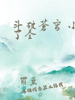 斗破苍穹 小说了全