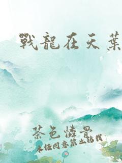 战龙在天叶凡