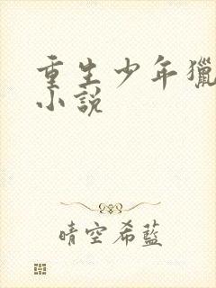 重生少年猎美 小说