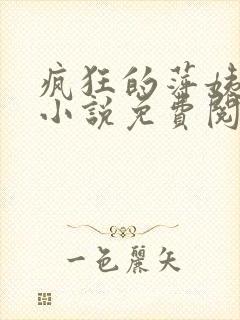 疯狂的萍姨王强小说免费阅读
