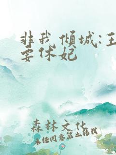 非我倾城:王爷要休妃