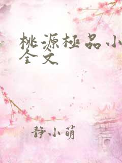 桃源极品小仙医全文