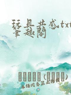 玩具共感txt笔趣阁