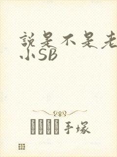 说是不是老公的小SB