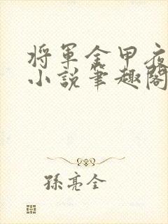 将军金甲夜不脱小说笔趣阁