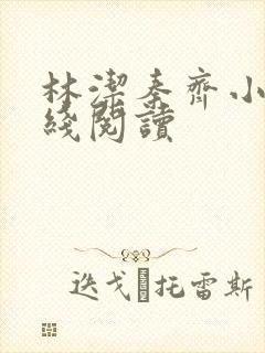 林洁秦齐小说在线阅读