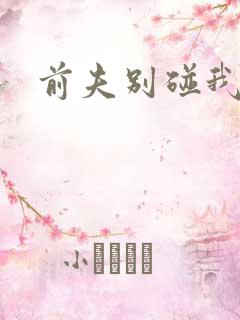 前夫别碰我