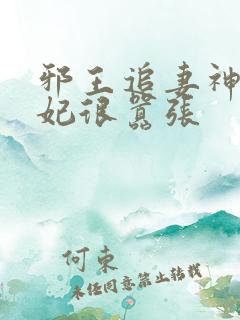 邪王追妻神医狂妃很嚣张