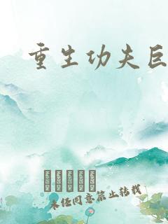重生功夫巨星