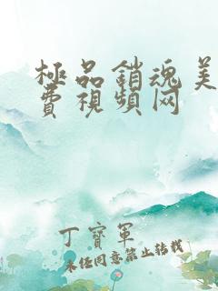 极品销魂美女免费视频网