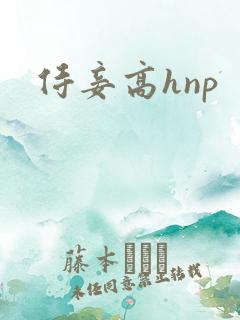 侍妾高hnp