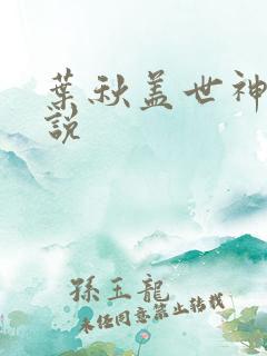 叶秋盖世神医小说