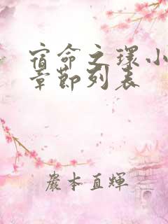 宿命之环小说新章节列表