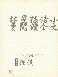 林曼孙浩小说免费阅读全文最新章节