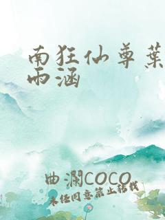 南狂仙尊叶辰苏雨涵
