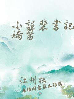 小说裴书记的小娇医