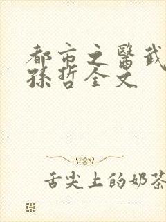 都市之医武风流孙哲全文