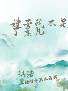 嫂子我不是傻子了叶凡