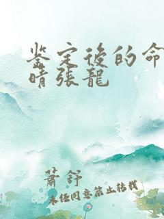 鉴定后的命运周晴张龙
