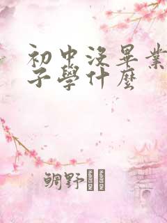 初中没毕业男孩子学什么