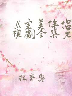 《完美伴侣》电视剧全集免费观看
