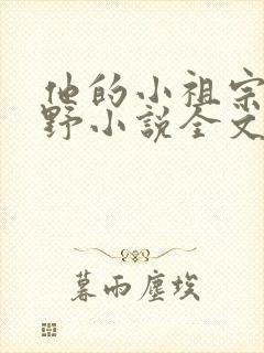 他的小祖宗甜又野小说全文免费阅读