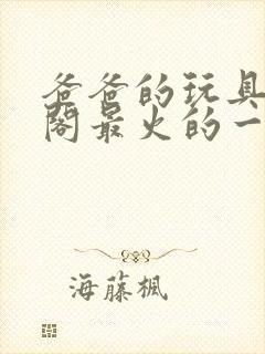 爸爸的玩具笔趣阁最火的一句