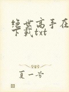 绝世高手在都市下载txt