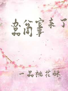 办公室来了个极品同事