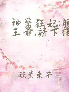 神医狂妃:腹黑王爷,请下榻 小说