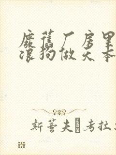 废旧厂房里和流浪狗做天本